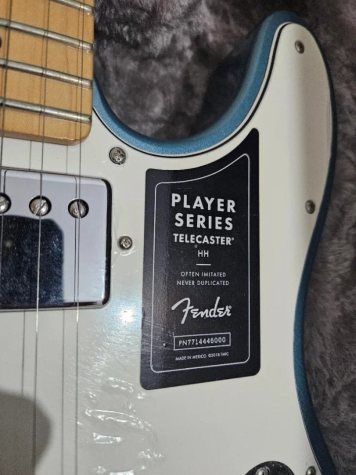 Fender Telecaster Player HH MN TPL