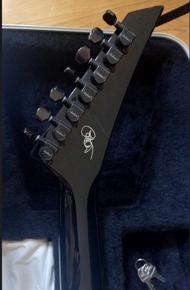 COMPRO/BUSCO guitarra Jackson pro series Christian Olde Wolbers 7 cuerdas