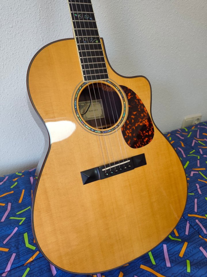 LARRIVEE LSV 11E de segunda mano · Foto 8 de 10 · Zaragoza · 2500 €