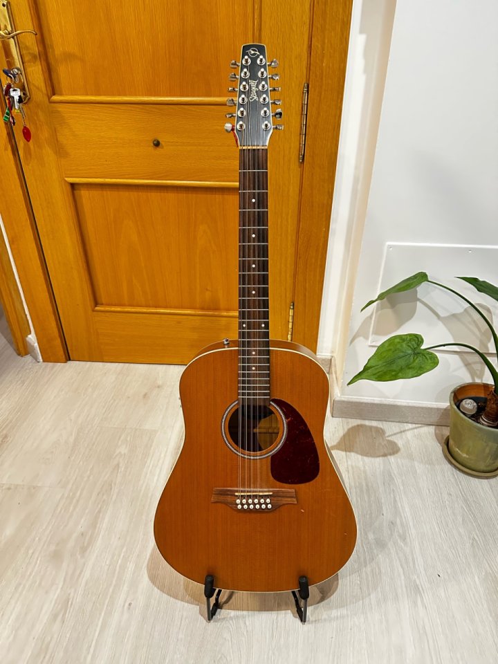 Seagull Coastline Cedar 12