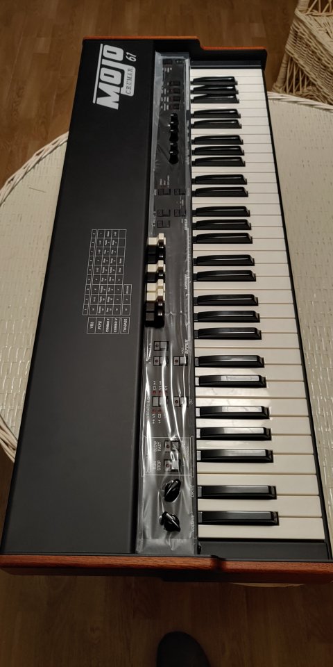 Crumar Mojo 61 de segunda mano · Foto 4 de 10 · Zamora · 1000 €