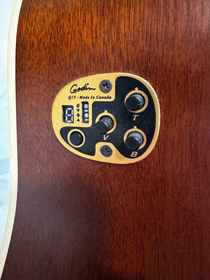 Seagull Coastline Cedar 12