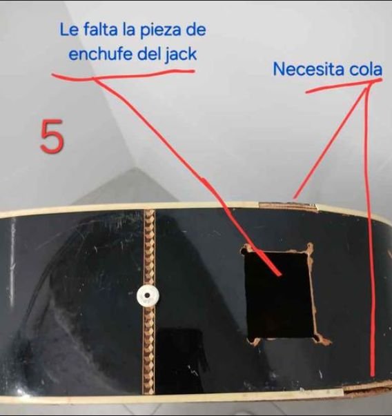 WASHBURN electro-acustica