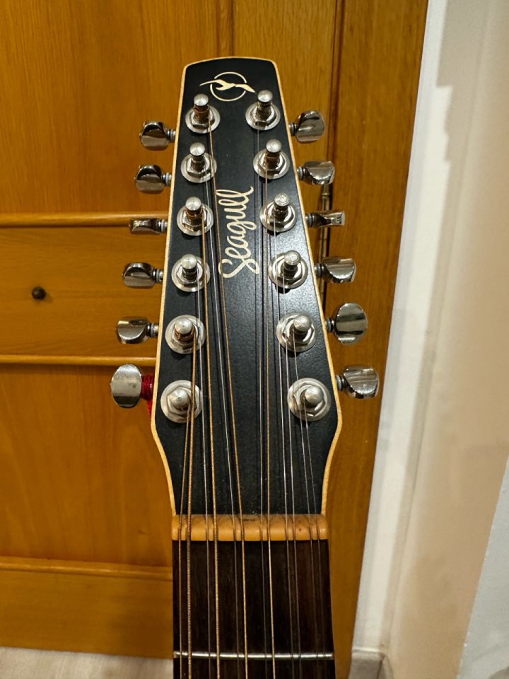 Seagull Coastline Cedar 12