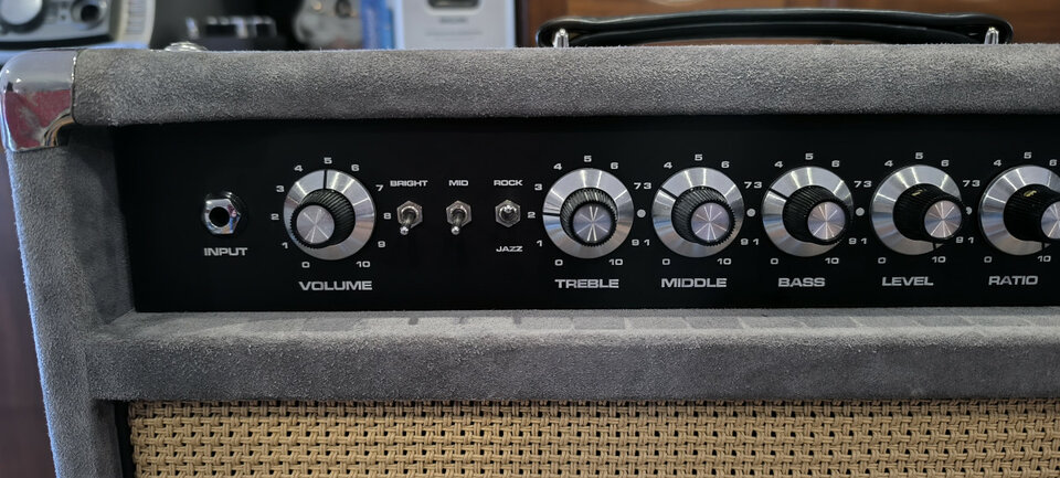 SL AMPS NEWDRIVE 100 (Dumble Robben Ford)