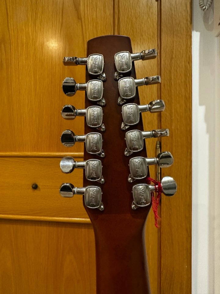 Seagull Coastline Cedar 12