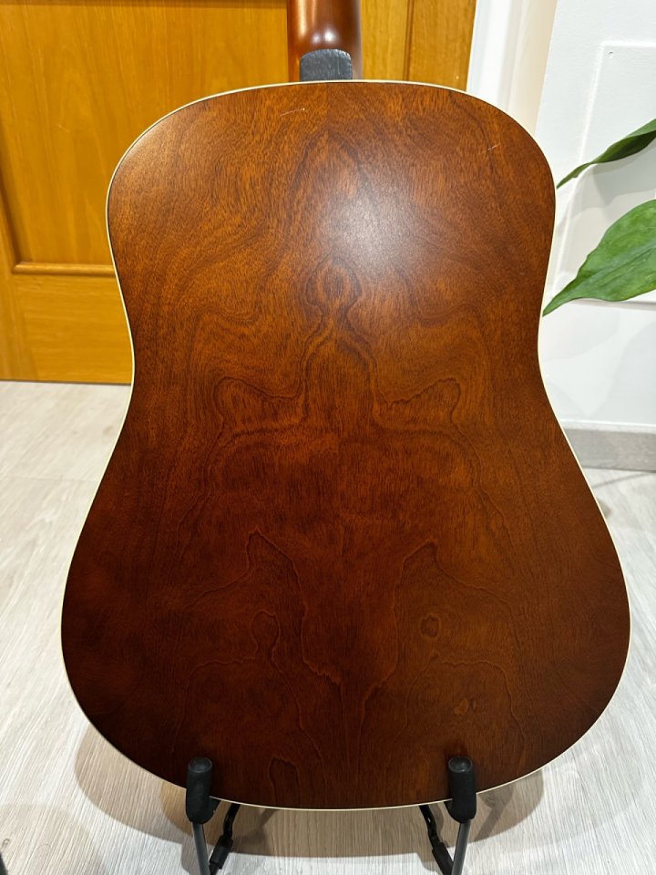 Seagull Coastline Cedar 12