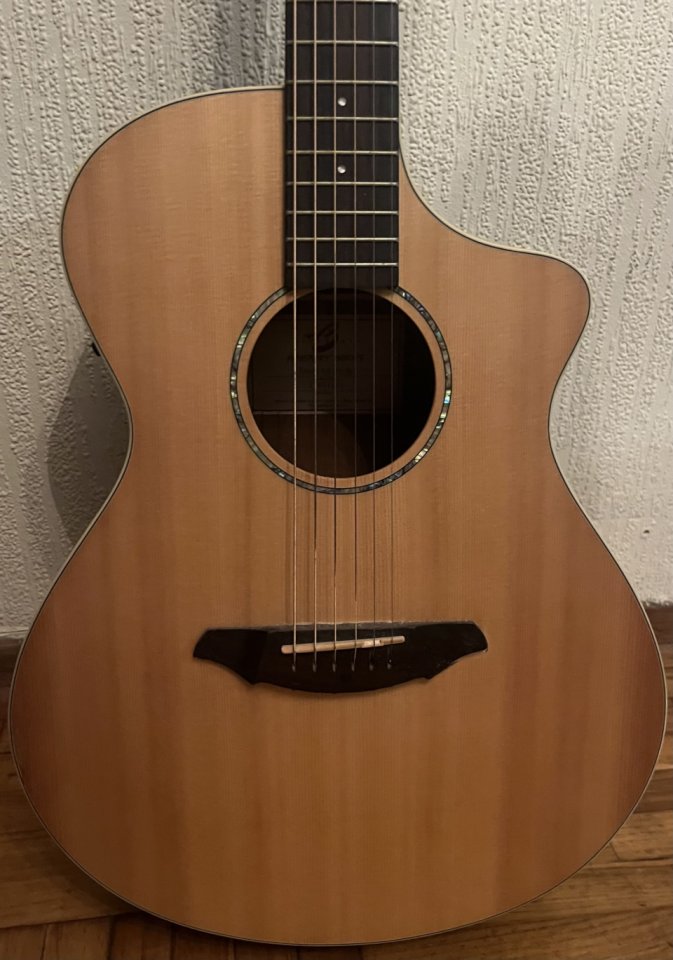 Breedlove Passport