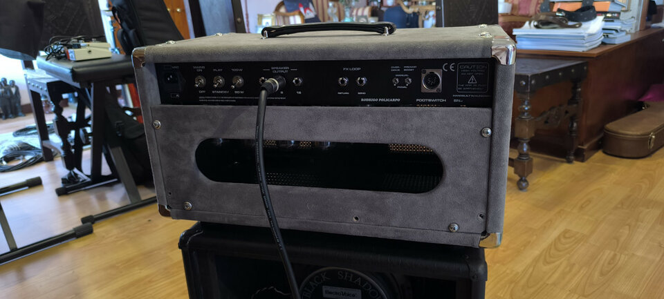 SL AMPS NEWDRIVE 100 (Dumble Robben Ford)