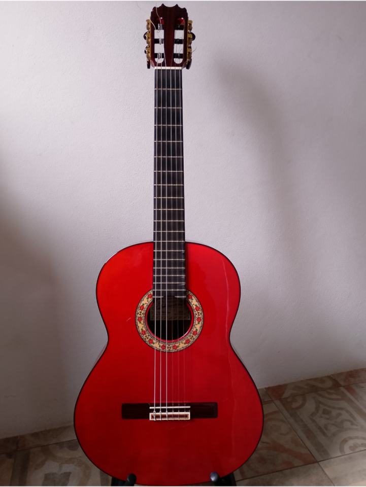 Vendo guitarra flamenca RSC