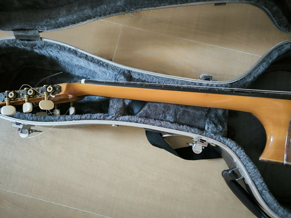 Manuel Rodríguez FG madagascar