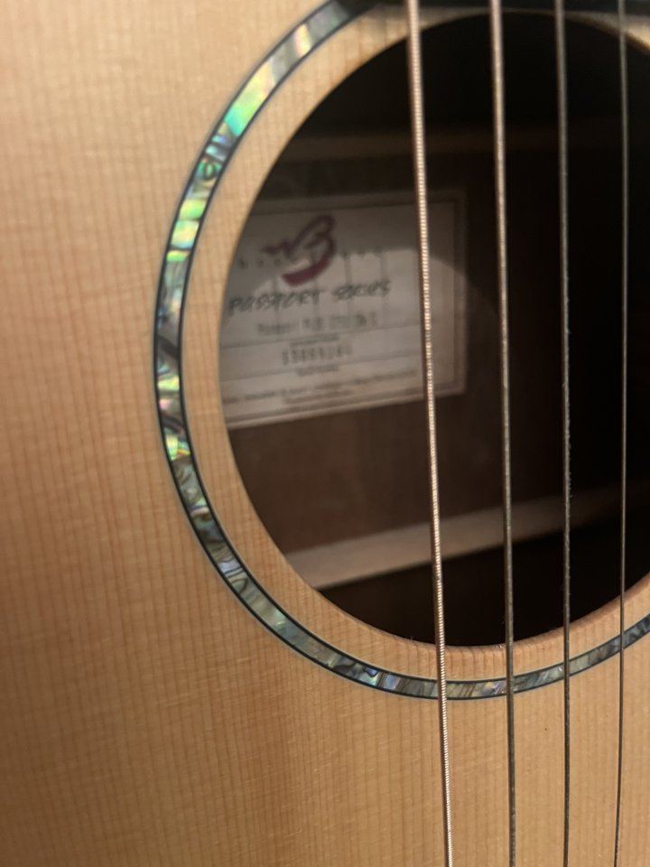 Breedlove Passport