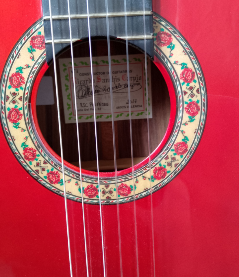 Vendo guitarra flamenca RSC