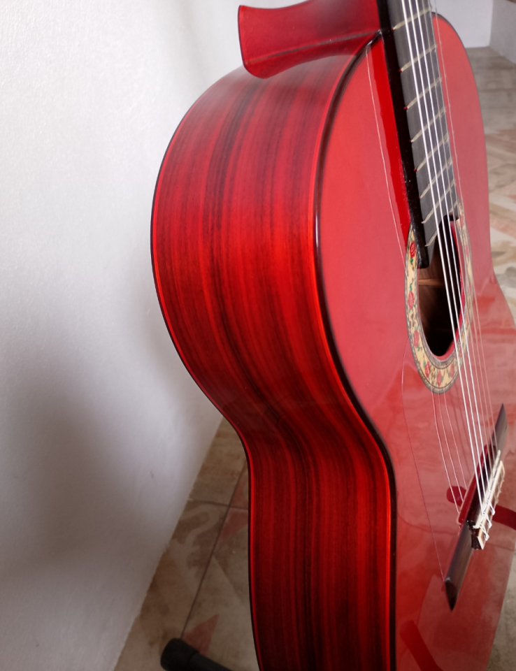 Vendo guitarra flamenca RSC