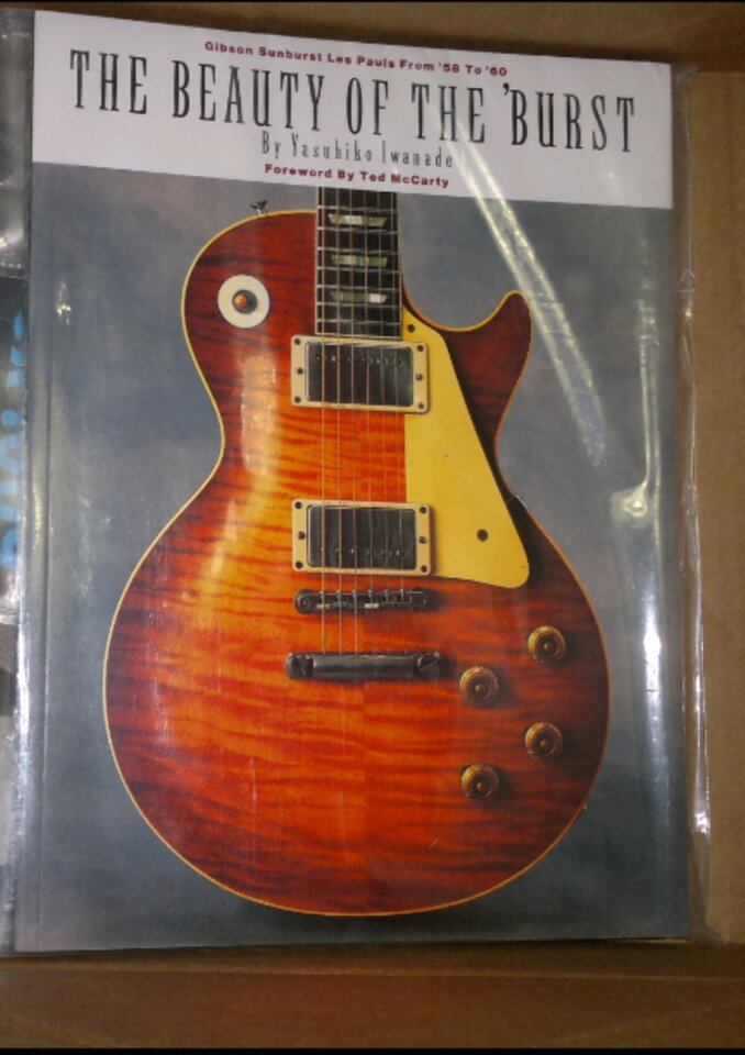 Hal Leonard The Beauty Of The Burst.