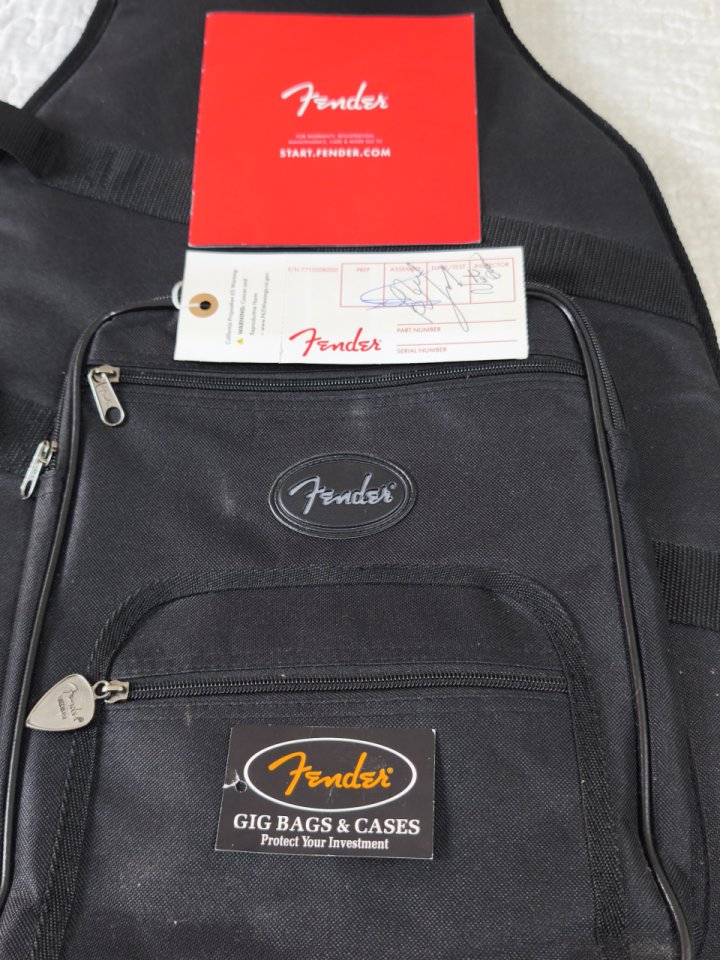 Fender Player Plus Stratocaster PF Sienna Sunburst de segunda mano · Foto 10 de 10 · Asturias · 790 €