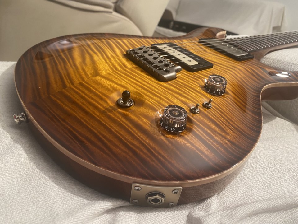 Prs Private stock Custom 22 Semihollow