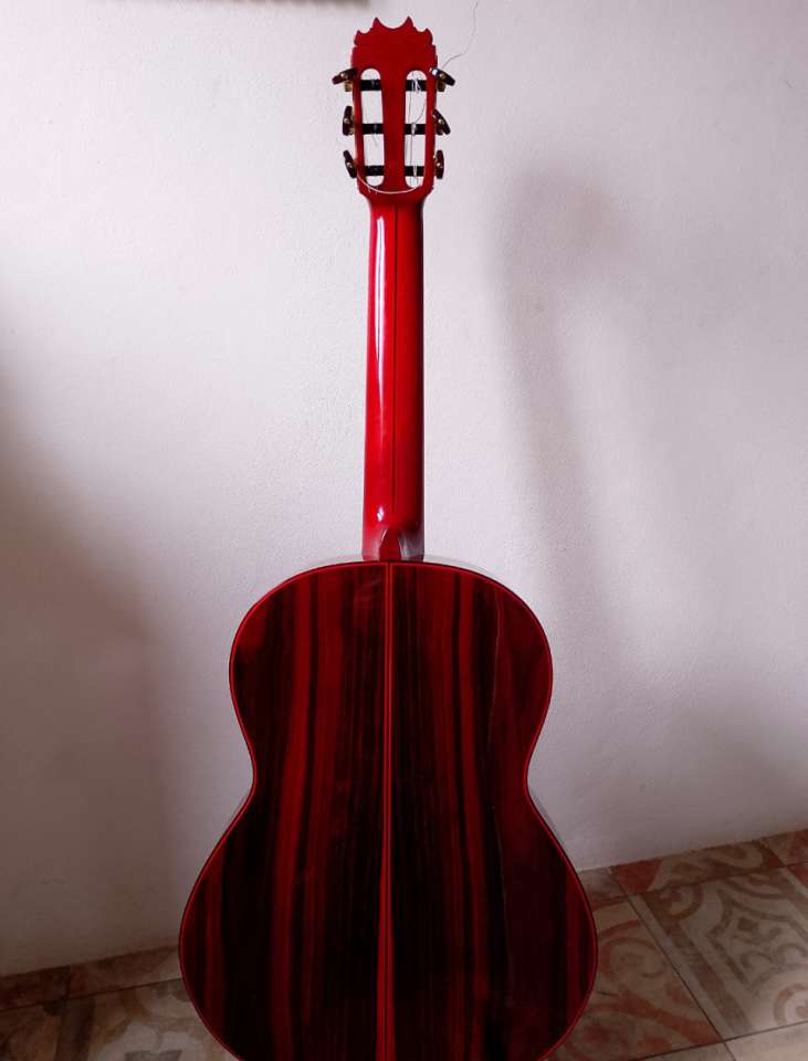 Vendo guitarra flamenca RSC