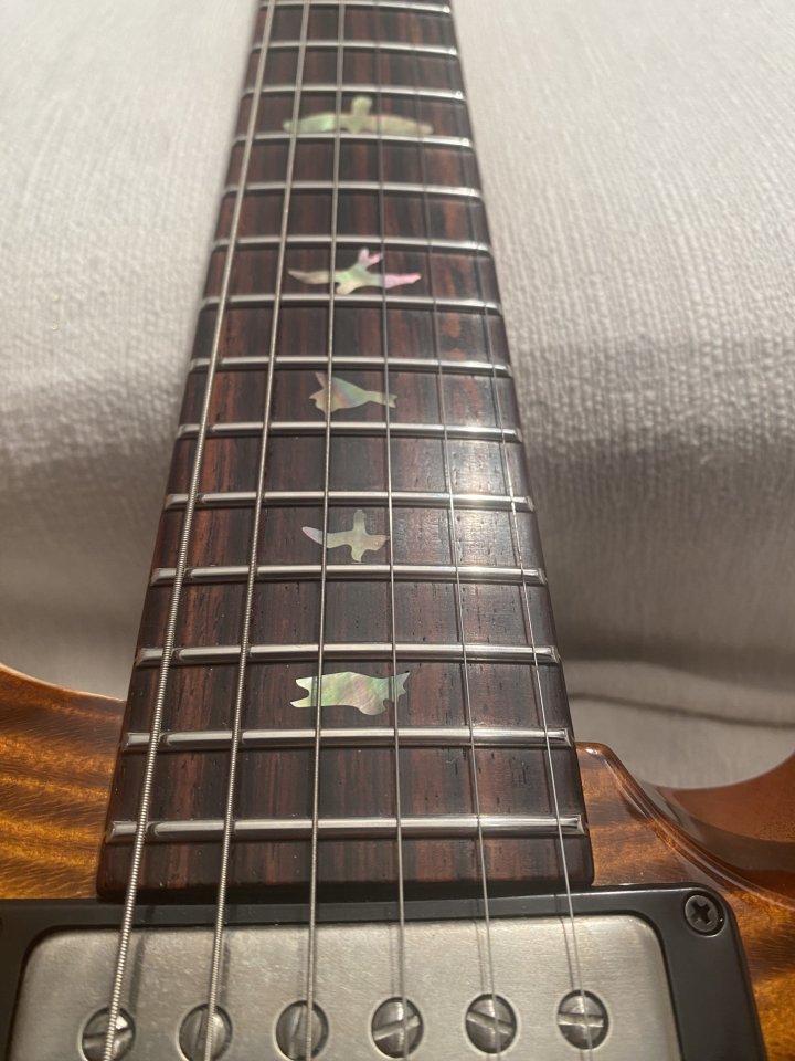 Prs Private stock Custom 22 Semihollow