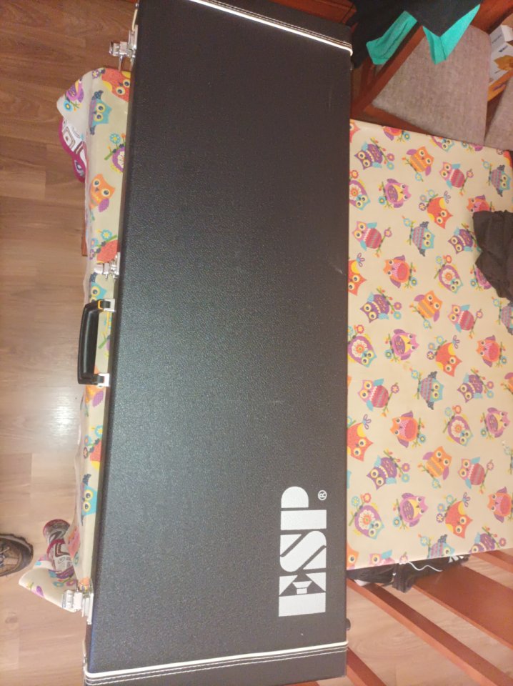 ESP M2 URBAN CAMO de segunda mano · Foto 9 de 9 · Badajoz · 2395 €