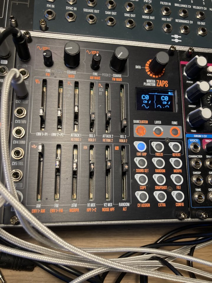 Módulo Eurorack Winter Plankton ZAPS