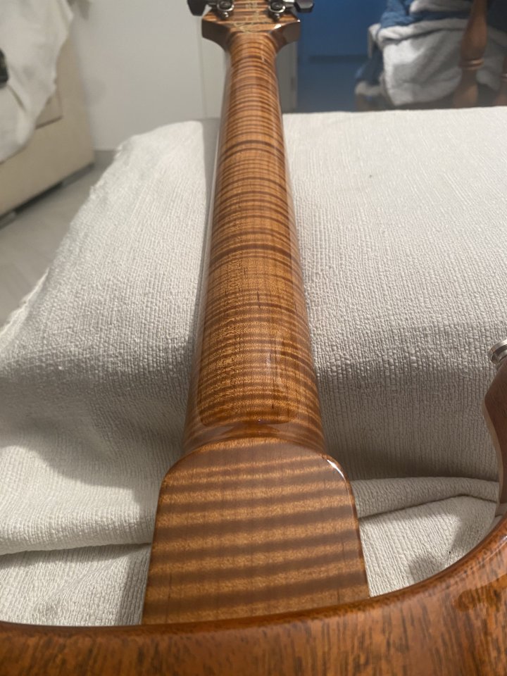 Prs Private stock Custom 22 Semihollow