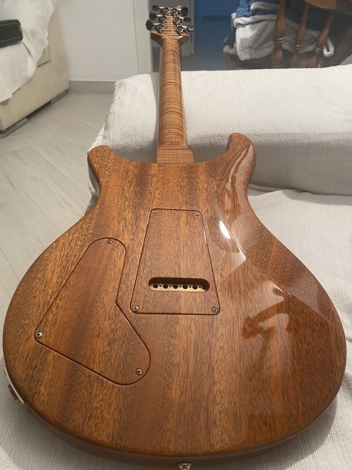 Prs Private stock Custom 22 Semihollow