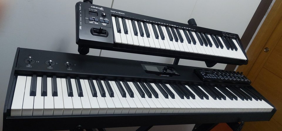 Studiologic sl73 + Roland A-500S + Extras