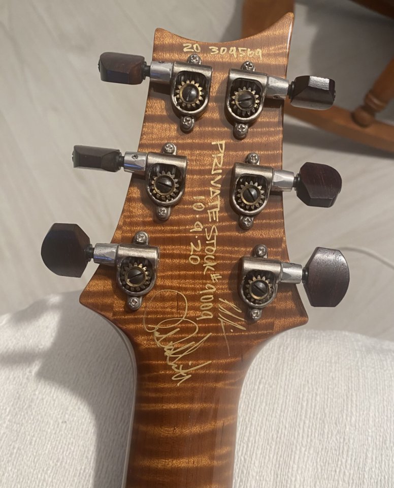 Prs Private stock Custom 22 Semihollow