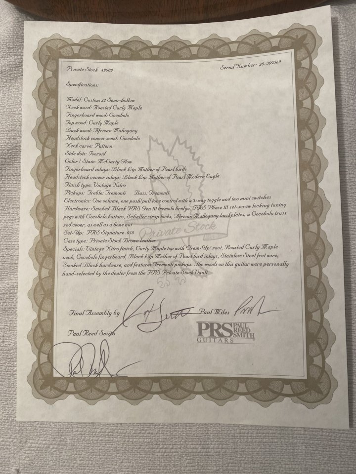 Prs Private stock Custom 22 Semihollow