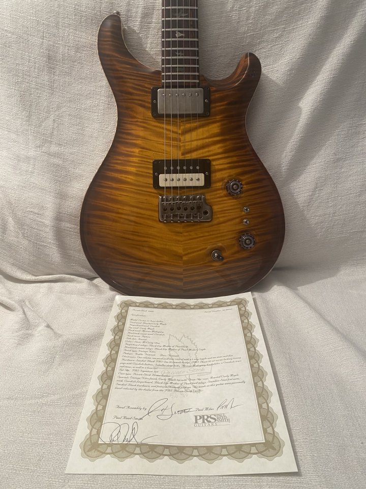 Prs Private stock Custom 22 Semihollow