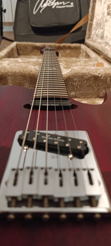 Chapman Guitars ml-3 RC de segunda mano · Foto 9 de 10 · Palencia · 560 €