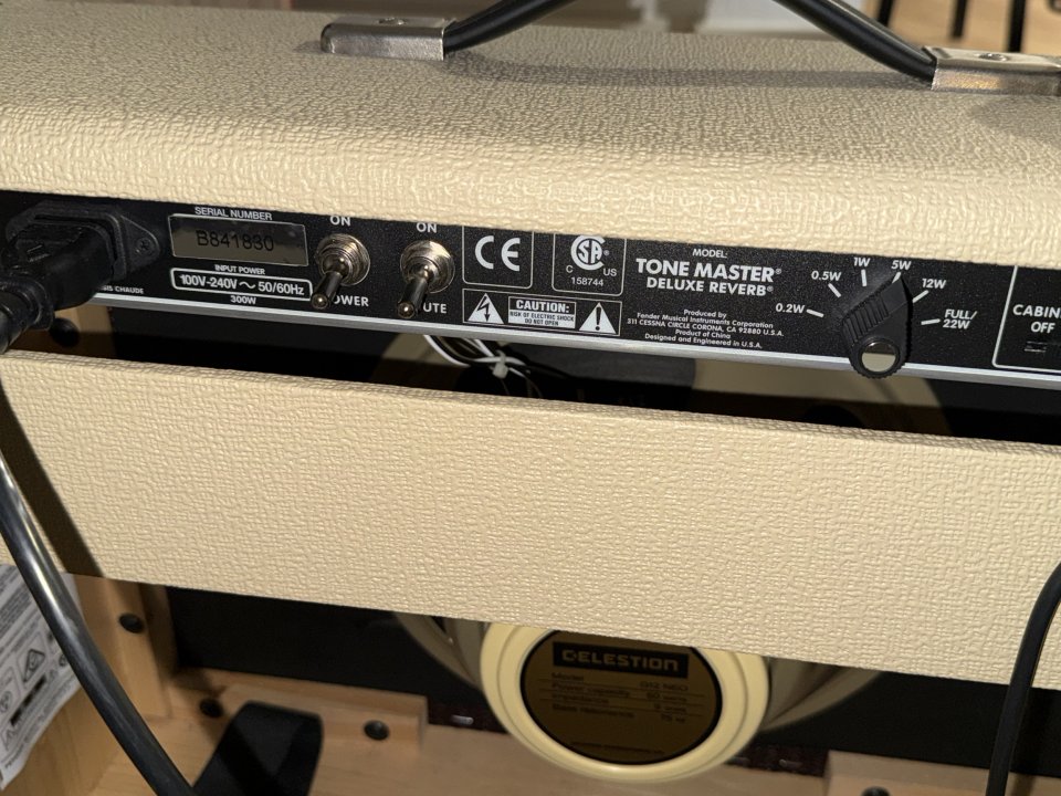 Deluxe Reverb Tone Master Blonde