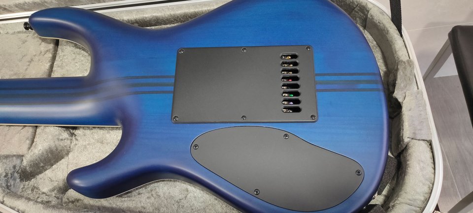 Mayones Regius 8 MM QM 4Ever