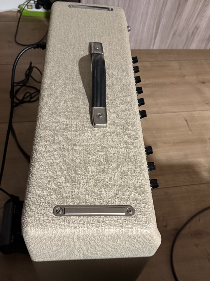 Deluxe Reverb Tone Master Blonde