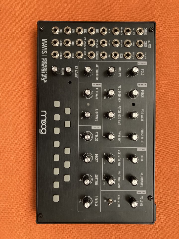 Moog Mavis + Extras