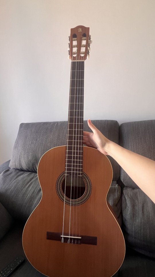 Alhambra Z-NATURE de segunda mano · Foto 1 de 9 · Barcelona · 290 €