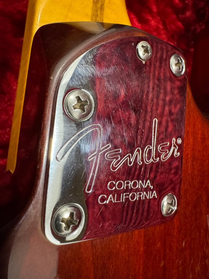 Fender Stratocaster Américan select