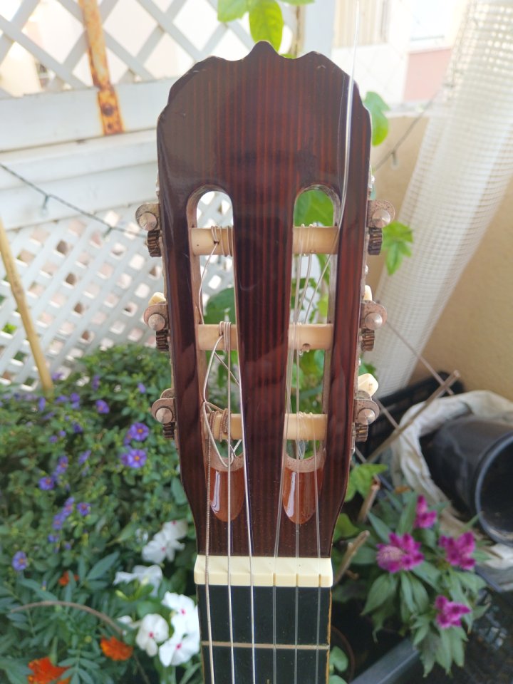 Guitarra clásica Hohner HC06 de segunda mano · Foto 4 de 10 · Cádiz · 35 €