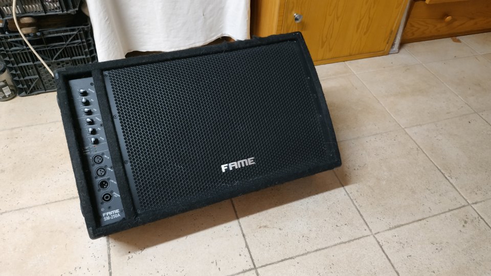 Monitor FAME SM-250A de segunda mano · Foto 1 de 5 · Cantabria · 125 €