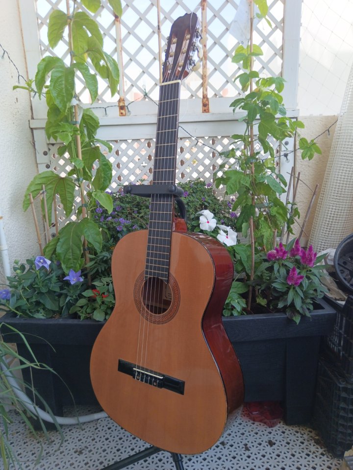 Guitarra clásica Hohner HC06 de segunda mano · Foto 2 de 10 · Cádiz · 35 €