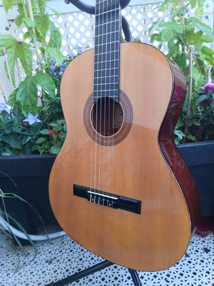 Guitarra clásica Hohner HC06 de segunda mano · Foto 3 de 10 · Cádiz · 35 €