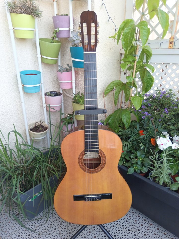 Guitarra clásica Hohner HC06 de segunda mano · Foto 1 de 10 · Cádiz · 35 €