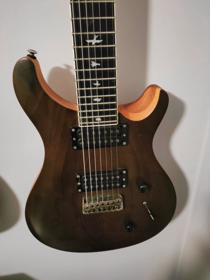 PRS Mark Holcomb SVN 7 cuerdas de segunda mano · Foto 1 de 3 · Valencia · 800 €