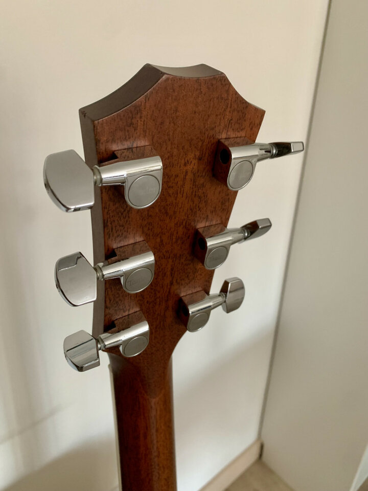 Taylor DN3e - alta gama de Taylor