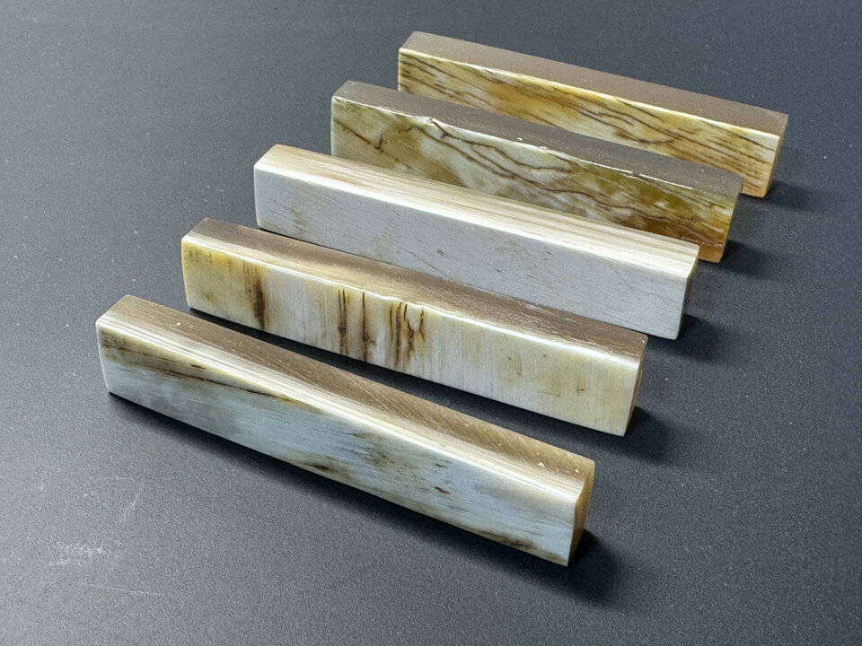 Hueso y Cuerno en bruto para talla de cejuelas y silletas