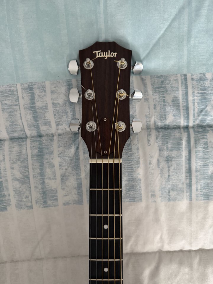 Guitarra zurdo Taylor 210e DLX