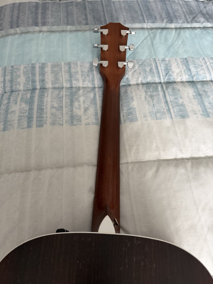 Guitarra zurdo Taylor 210e DLX