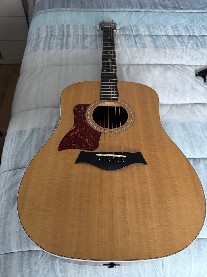 Guitarra zurdo Taylor 210e DLX