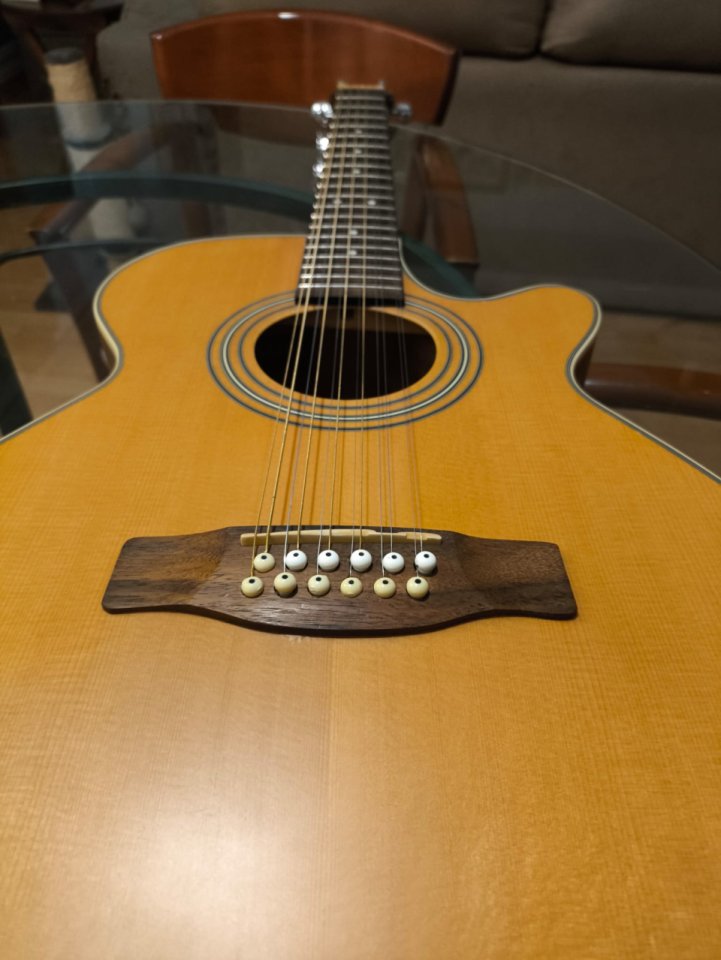 Cambio guitarra electroacústica Fender de 12 cuerdas.